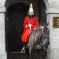 Guard on horseback in London (Landscape)