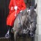 Guardian on horse in London (portrait)