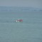 Man in a small motorboat in front of Antalya