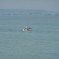 Man in a small motorboat in front of Antalya